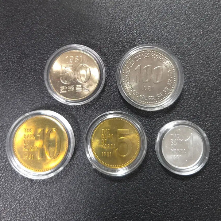 [BUNJANG] 1981 Jeju Special Coin Set - Rare Collectible / 아주귀한 특년도 1981년사제주화세트 희귀동전수집용