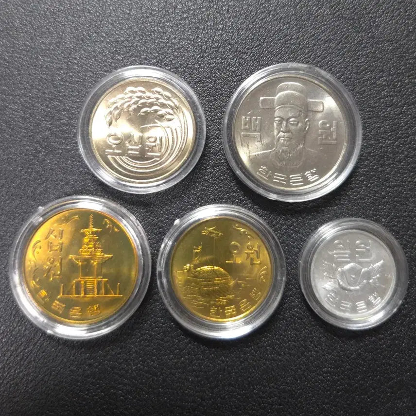 [BUNJANG] 1981 Jeju Special Coin Set - Rare Collectible / 아주귀한 특년도 1981년사제주화세트 희귀동전수집용