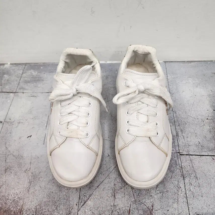 [BUNJANG] MLB Sneakers White Beige Size 255 / 엠엘비 운동화 255사이즈