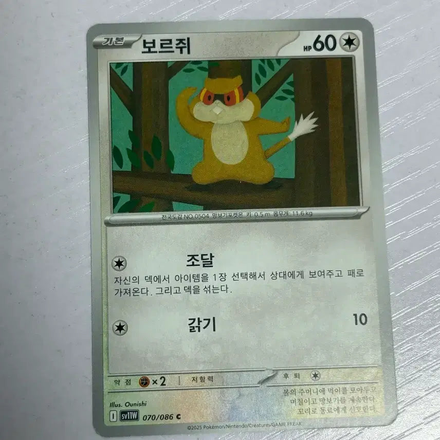 [SOLD OUT] [귀여운 포켓몯카드] 보르쥐