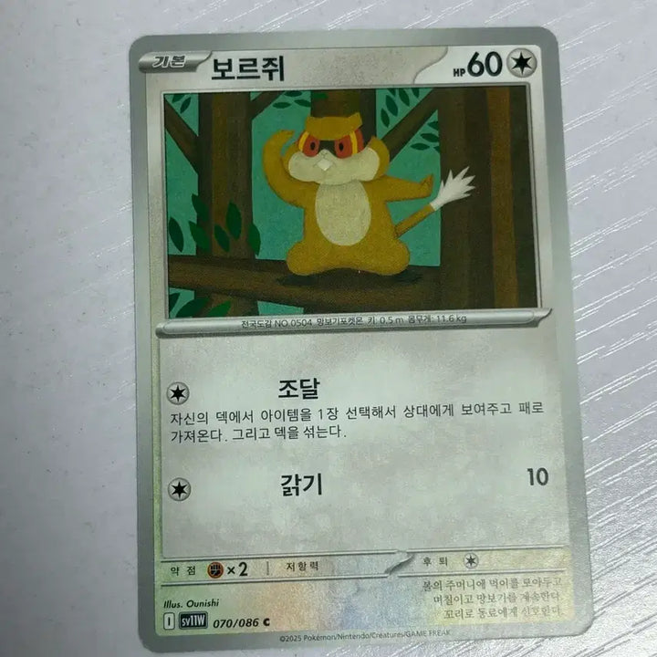 [SOLD OUT] [귀여운 포켓몯카드] 보르쥐