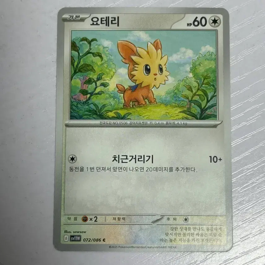 [BUNJANG] Yoteri Pokemon Card / [귀여운 포켓몯카드] 요테리