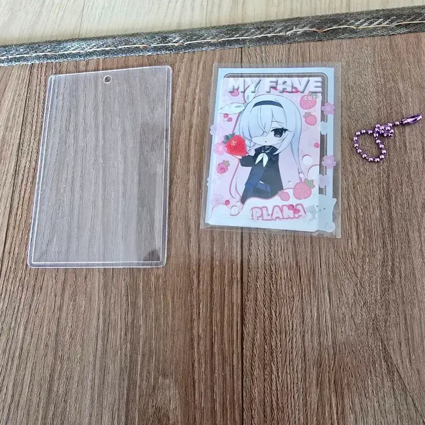 [BUNJANG] Plana Acrylic Card Keyring + Holder / 플라나 아크릴 카드 키링 + 홀더
