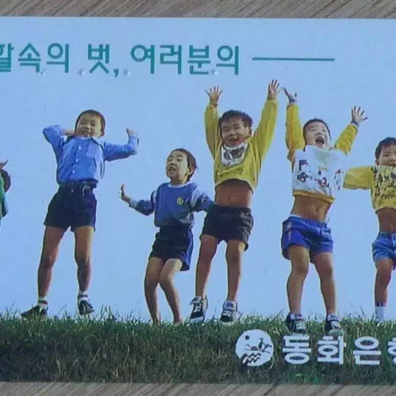 [BUNJANG] Dongwha Bank 1996 Advertisement Phone Card / 1996년 동화은행 광고 전화카드