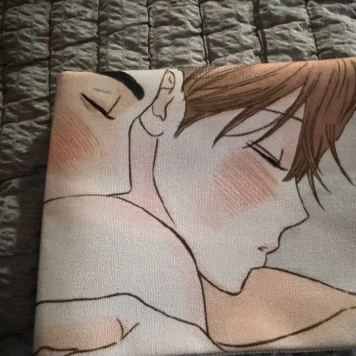 [BUNJANG] Secret Relationship Webtoon Acrylic Stand / 웹툰 비밀사이 오디오북 패브릭 포스터 아크릴 스탠드 굿즈 새상품
