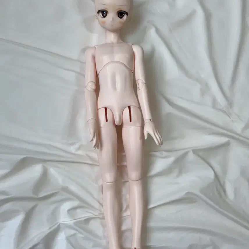 [SOLD OUT] Mdd 구체관절인형 아니메 본체