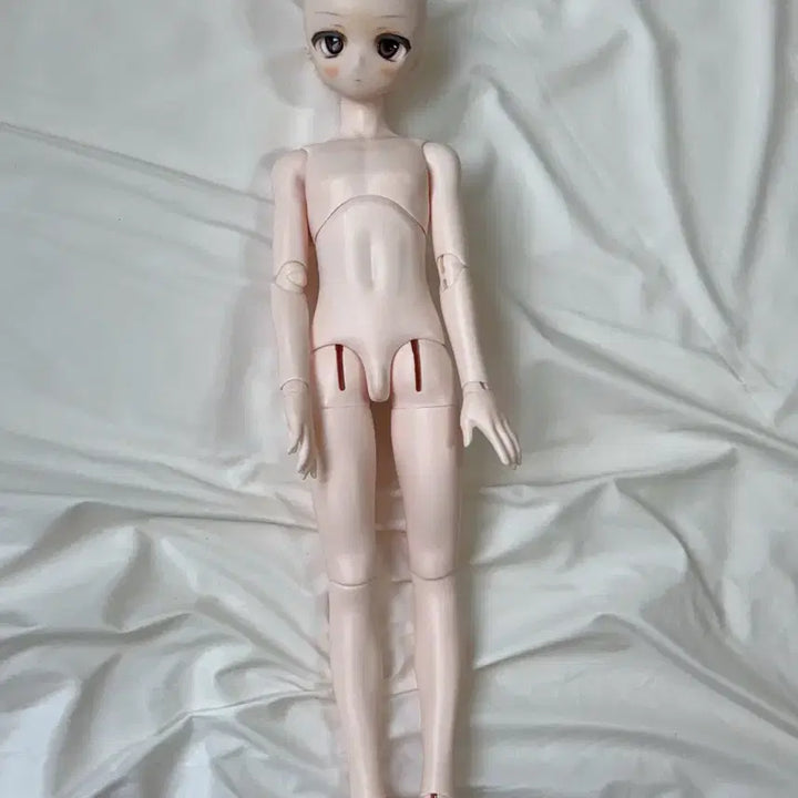 [SOLD OUT] Mdd 구체관절인형 아니메 본체