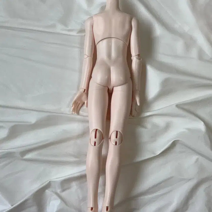 [SOLD OUT] Mdd 구체관절인형 아니메 본체