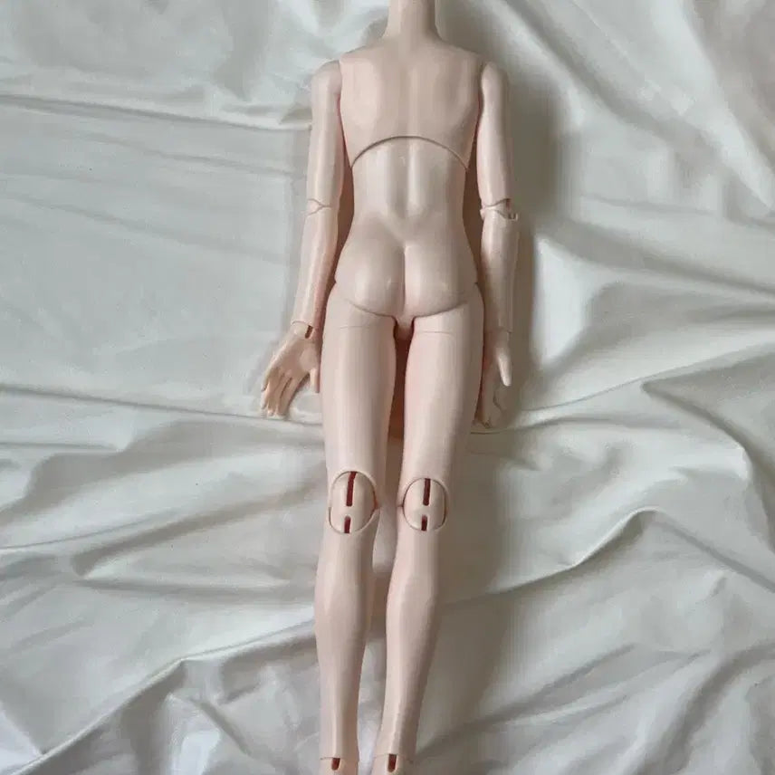 [SOLD OUT] Mdd 구체관절인형 아니메 본체