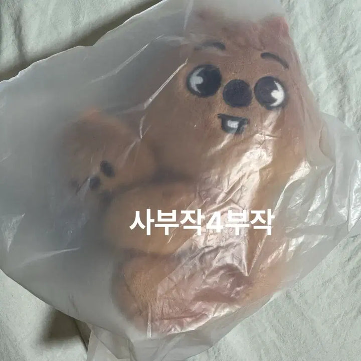 [BUNJANG] Stray Kids Han Jisung Han Quokka Magnet Plush Set / 스키즈 한지성 스키주 한쿼카 마그넷 플러시 세트 한강 망원팝업