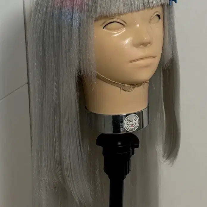 [BUNJANG] Everis Ayatsuno Uni Wig / 유니 내꺼하는법 가발만 2.0