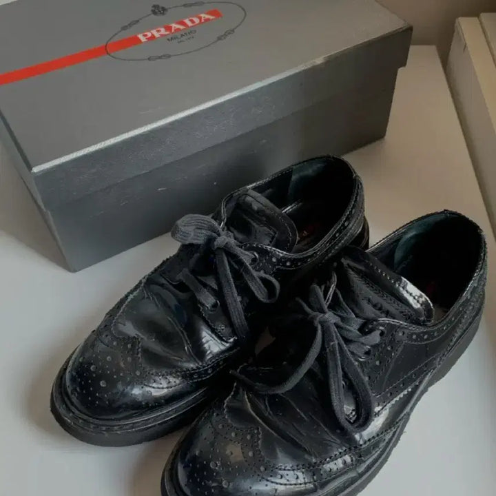 [BUNJANG] Prada Wingtip Brogue Derby Shoes / 프라다 윙팁 브로그 더비 슈즈