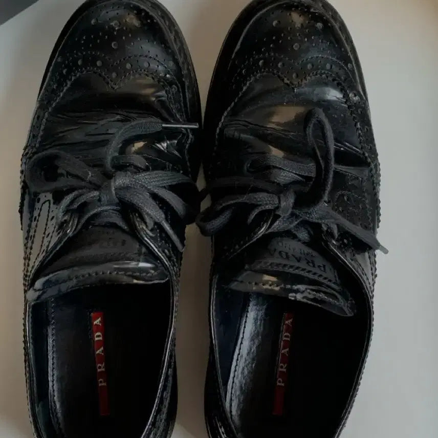 [BUNJANG] Prada Wingtip Brogue Derby Shoes / 프라다 윙팁 브로그 더비 슈즈