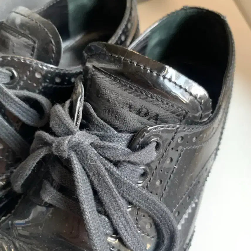 [BUNJANG] Prada Wingtip Brogue Derby Shoes / 프라다 윙팁 브로그 더비 슈즈