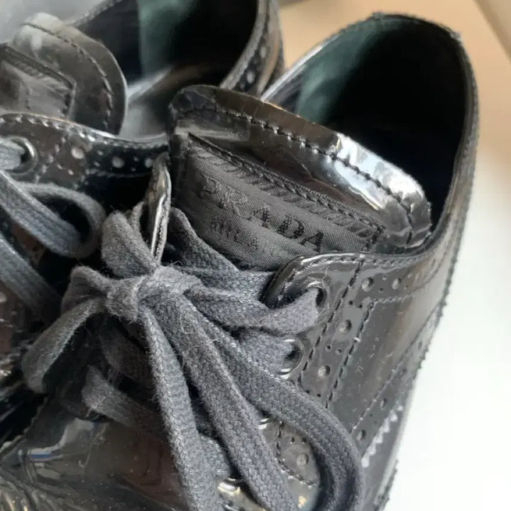 [BUNJANG] Prada Wingtip Brogue Derby Shoes / 프라다 윙팁 브로그 더비 슈즈