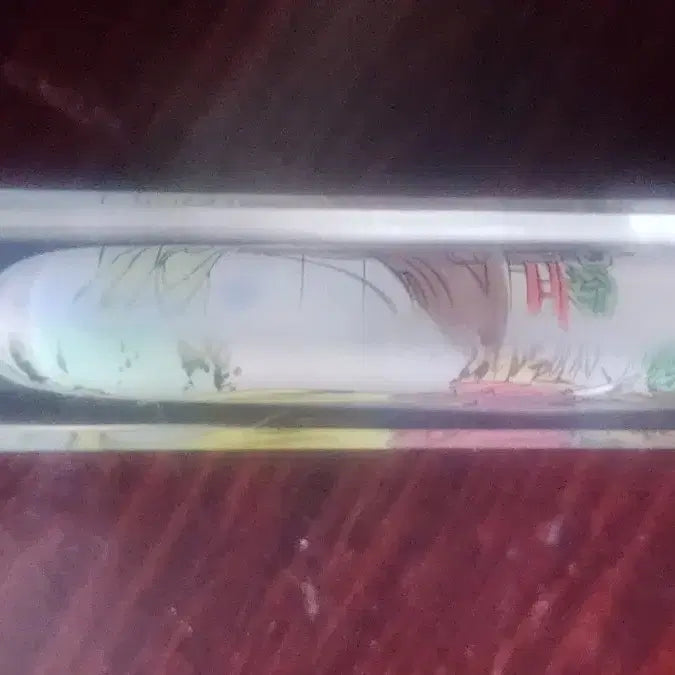 [BUNJANG] Chinese Biyonho Reverse Painting Vase / 중국비연호90년대 역화기법
