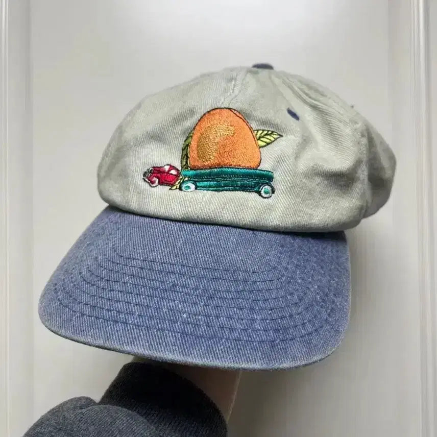 [BUNJANG] Vintage Allman Brothers Band Cap / 90s 빈티지 알먼브라더스 밴드티 볼캡 모자