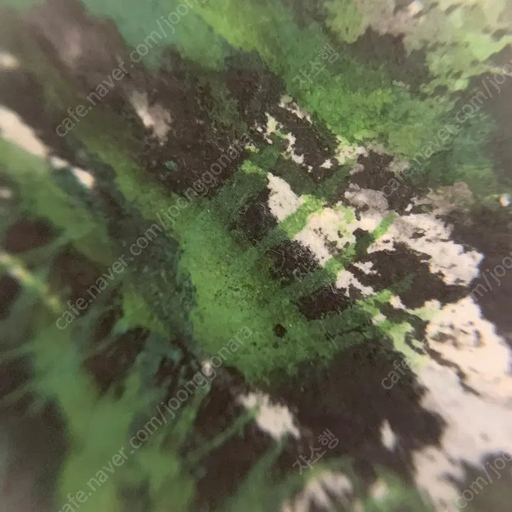 [BUNJANG] Nosan Yeo Young-goo Landscape Painting Scroll / 노산 여영구 산수화