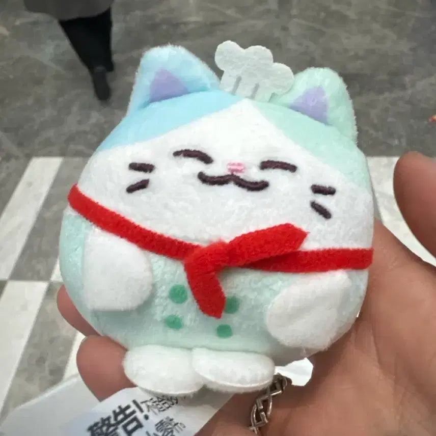 [BUNJANG] NCT Dream Chenle Tiny Pocket Plush Doll / 드리미즈 렌덤 타이니 포켓 플러시 인형 러묘 엔시티 드림 천러