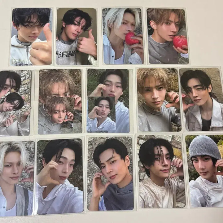 [BUNJANG] ENHYPEN Showcase Photocard Set / 엔하이픈 포카 양도