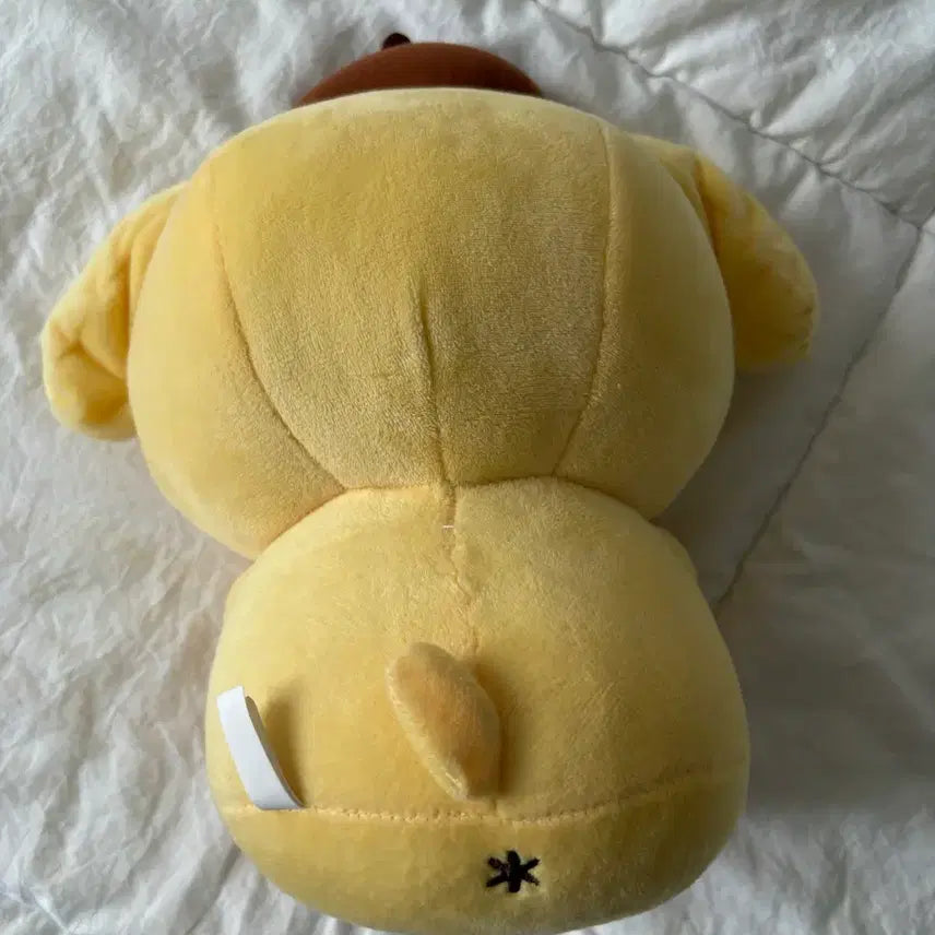 [BUNJANG] Sanrio Pom Pom Purin Plush Doll / 폼폼푸린 인형 판매합니다