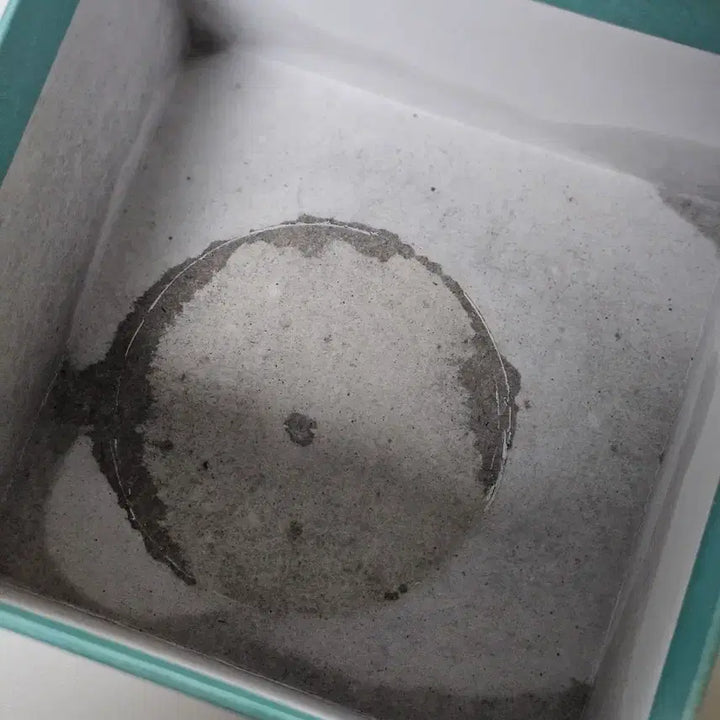 [BUNJANG] SHINee 12th Anniversary Secret Candle Key Version / 샤이니 12주년 시크릿 캔들 향초 키버전