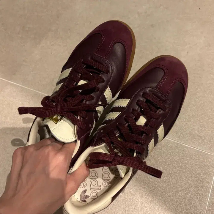 [BUNJANG] Adidas Samba OG Maroon Sneakers / 아디다스 삼바 OG 마룬 크림화이트 245