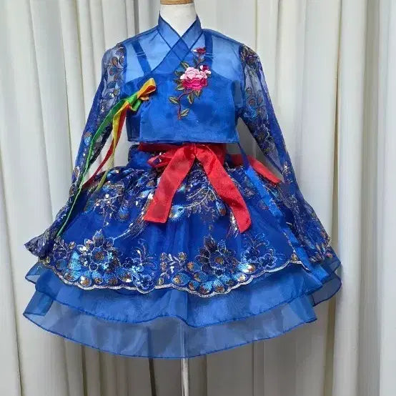 [BUNJANG] Fusion Hanbok - Blue Floral Embroidered Performance Costume / 고고장구 난타북 퓨젼한복 새상품