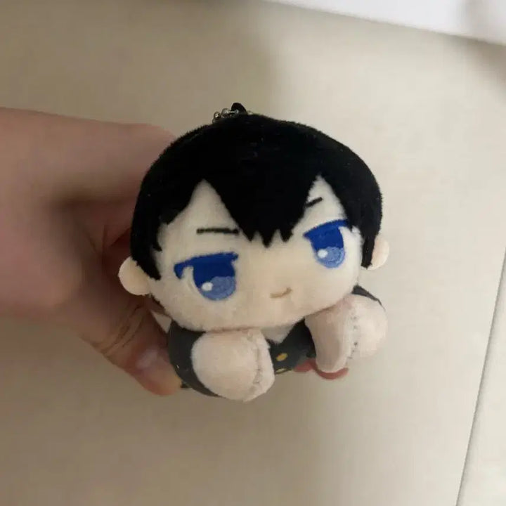 [BUNJANG] Haikyu Kageyama Tobio Hug-Cala Nui Plush Doll / 카게야마 토비오 허그캬라 집게 누이 인형 하이큐