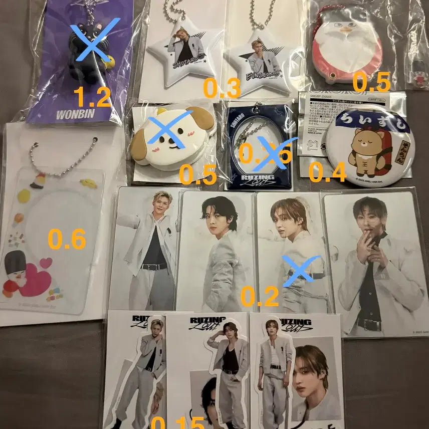 [SOLD OUT] 라이즈 일본 투어 굿즈 포카 키링