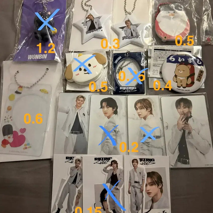 [SOLD OUT] 라이즈 일본 투어 굿즈 포카 키링