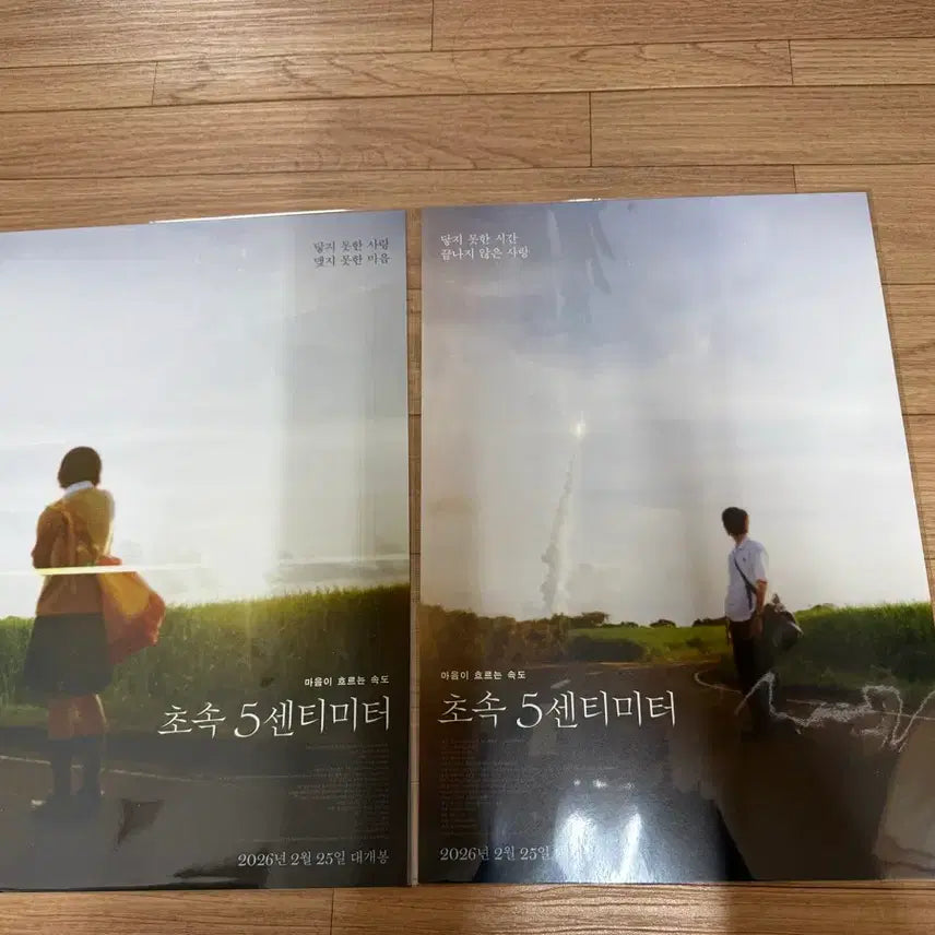 [BUNJANG] 5 Centimeters Per Second A3 Poster Set / 초속5센티미터 A3 포스터 2종