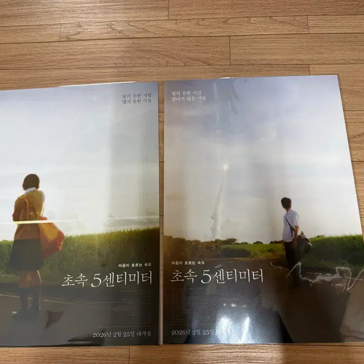 [BUNJANG] 5 Centimeters Per Second A3 Poster Set / 초속5센티미터 A3 포스터 2종