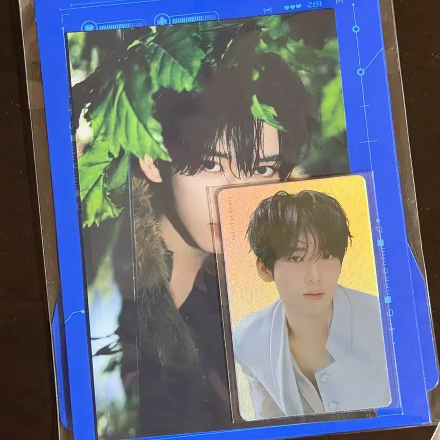 [BUNJANG] ZEROBASEONE Han Yu Jin Mini 5th Album Frame Photocard Set (Sealed) / 제베원 한유진 미니5집 액자 포카세트 미개봉 원가 양도