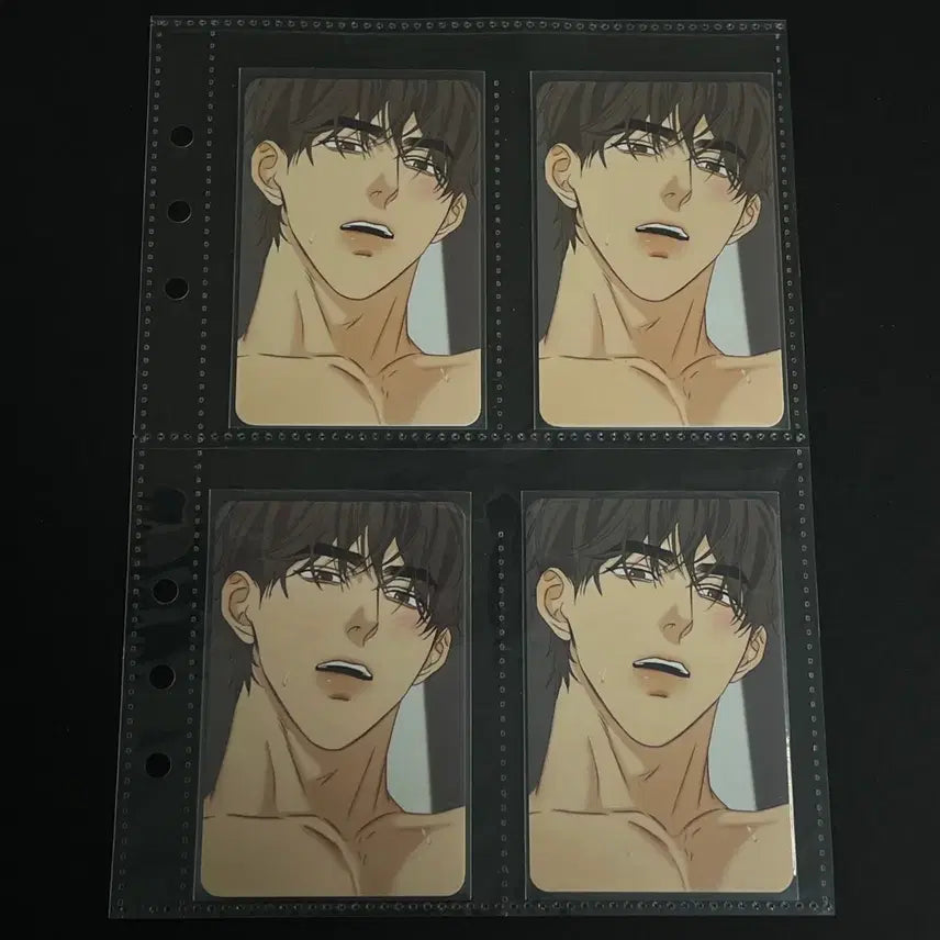 [BUNJANG] Omega Slave Collection Photocard Bundle Set / 오메가 노예 함락 보고서 범주 컬렉션 포토카드 포카 4장 일괄