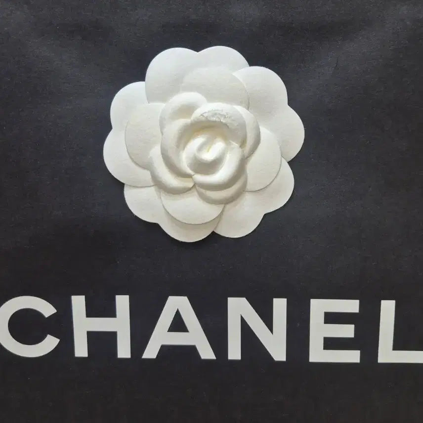 [BUNJANG] Chanel Bag Accessories Set / [백화점정품]샤넬 박스+쇼핑백+까멜리아+유산지+북렛 SET,샤넬 가방