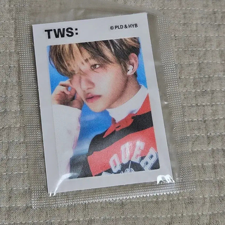 [BUNJANG] TWS Jihoon Malrangcow Ttiribuseal / 투어스 말랑카우 띠부씰 지훈