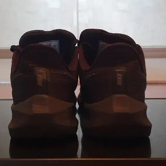 [BUNJANG] Nike Pegasus Running Shoes 275mm / 나이키 런닝화 275 페가수스