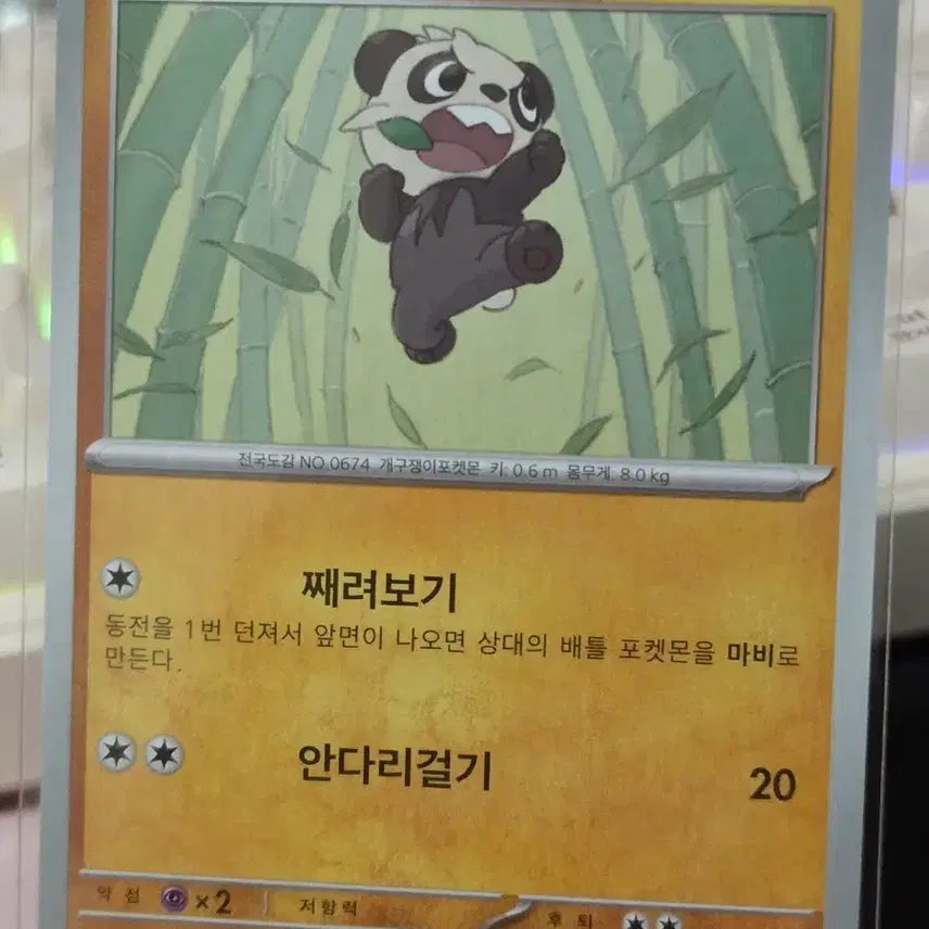[BUNJANG] Pokemon Panjjang Card / 포켓몬카드 판짱