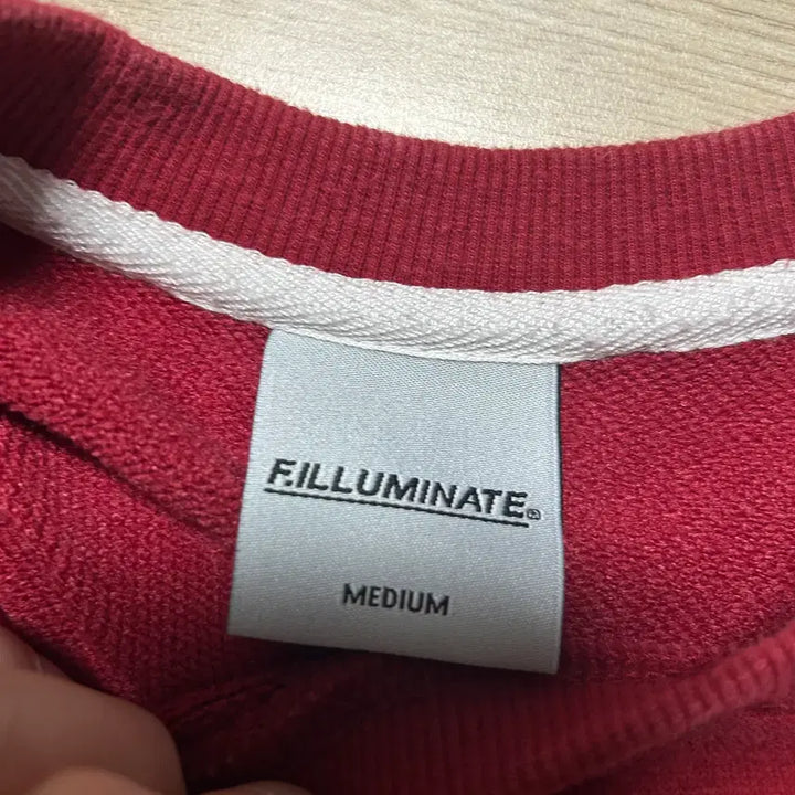 [BUNJANG] Filluminate Arch Logo Sweatshirt Wine [M] / 필루미네이트 오버핏 아치 로고 스웨트 셔츠 와인 [M]