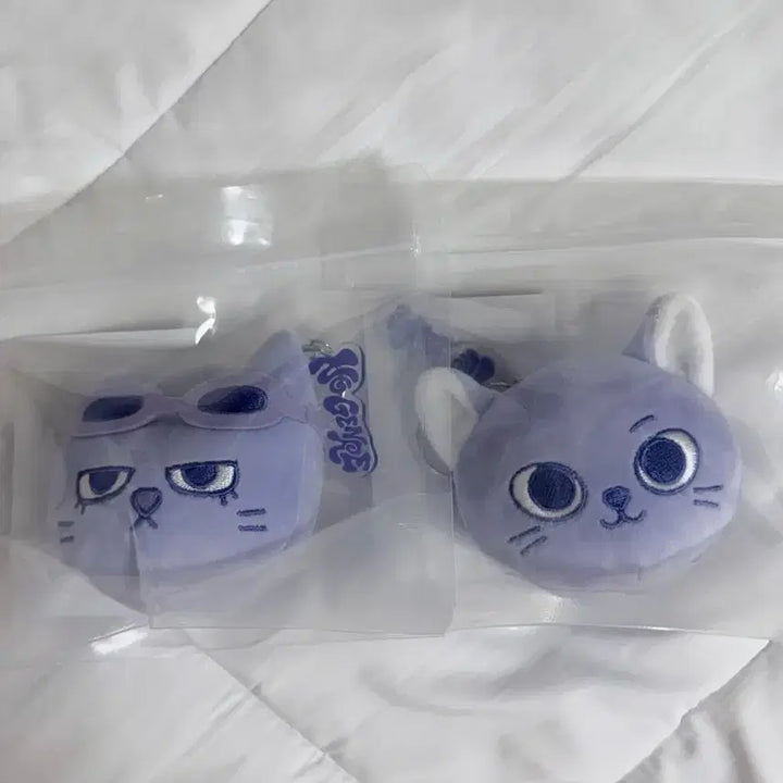[BUNJANG] BOYNEXTDOOR PNX No Genre Pop-up Catppy Face Keyring / 보넥도 쁘넥도 노장르 팝업 캣삐 페이스키링 미개봉