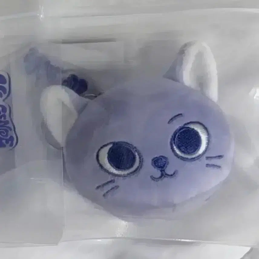 [BUNJANG] BOYNEXTDOOR PNX No Genre Pop-up Catppy Face Keyring / 보넥도 쁘넥도 노장르 팝업 캣삐 페이스키링 미개봉
