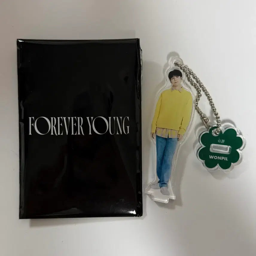 [BUNJANG] Day6 Wonpil Forever Young Random Acrylic Stand Japan MD / 데이식스 포에버영 랜덤 미니 아크릴 스탠드 참 원필 일본MD