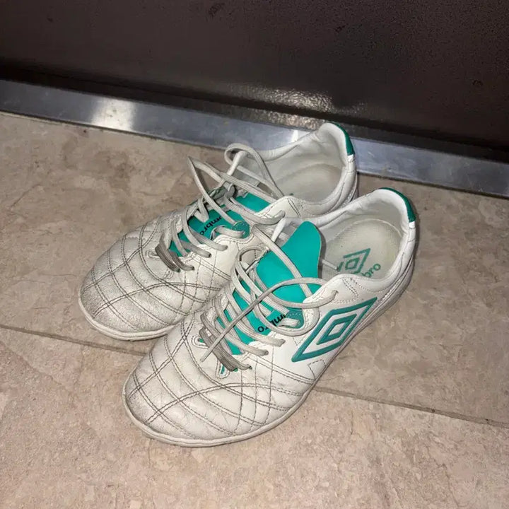 [BUNJANG] Umbro Revenge V3 Futsal Shoes (240) / 엄브로 풋살화 리벤지 V3 (240)