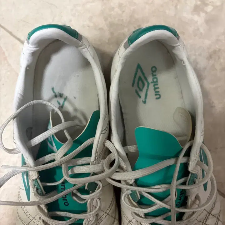 [BUNJANG] Umbro Revenge V3 Futsal Shoes (240) / 엄브로 풋살화 리벤지 V3 (240)