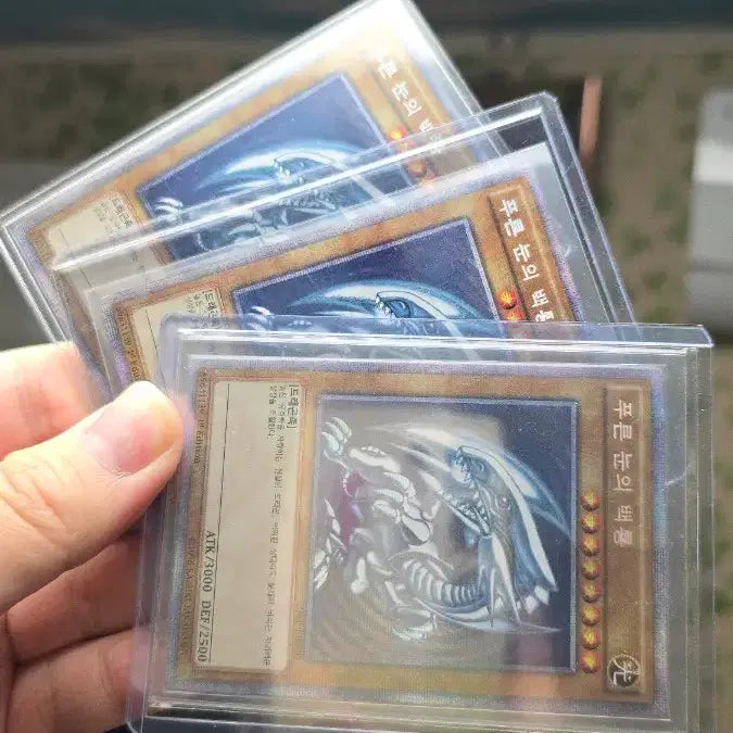 [BUNJANG] Blue-Eyes White Dragon 1st Edition Card Set / 푸른눈의 백룡 1st edition 3장일괄