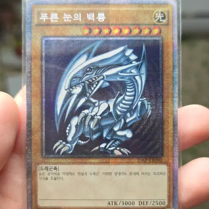 [BUNJANG] Blue-Eyes White Dragon 1st Edition Card Set / 푸른눈의 백룡 1st edition 3장일괄