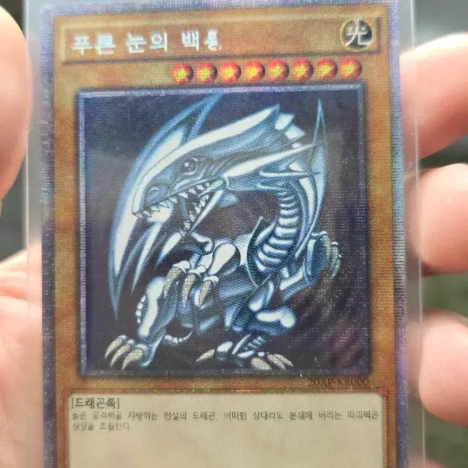 [BUNJANG] Blue-Eyes White Dragon 1st Edition Card Set / 푸른눈의 백룡 1st edition 3장일괄