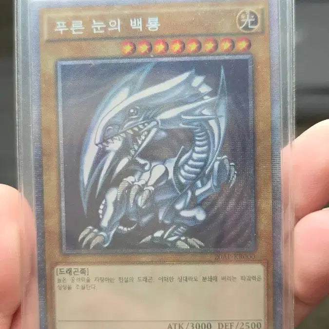 [BUNJANG] Blue-Eyes White Dragon 1st Edition Card Set / 푸른눈의 백룡 1st edition 3장일괄