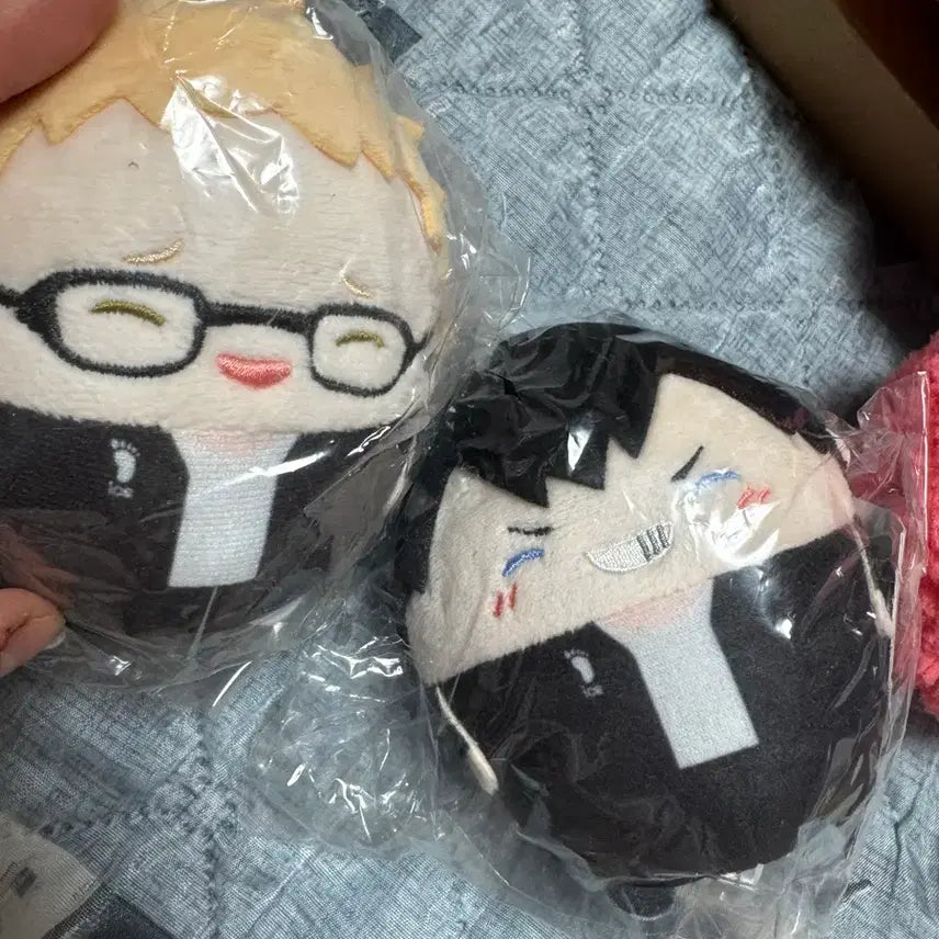 [BUNJANG] Tsukki Kageyama Doll / 츠키 카게야마 인형야도
